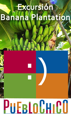 excursion-banana-platation